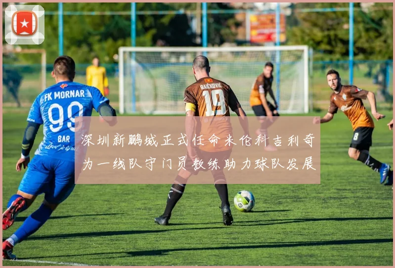 深圳新鹏城正式任命米伦科吉利奇为一线队守门员教练助力球队发展
